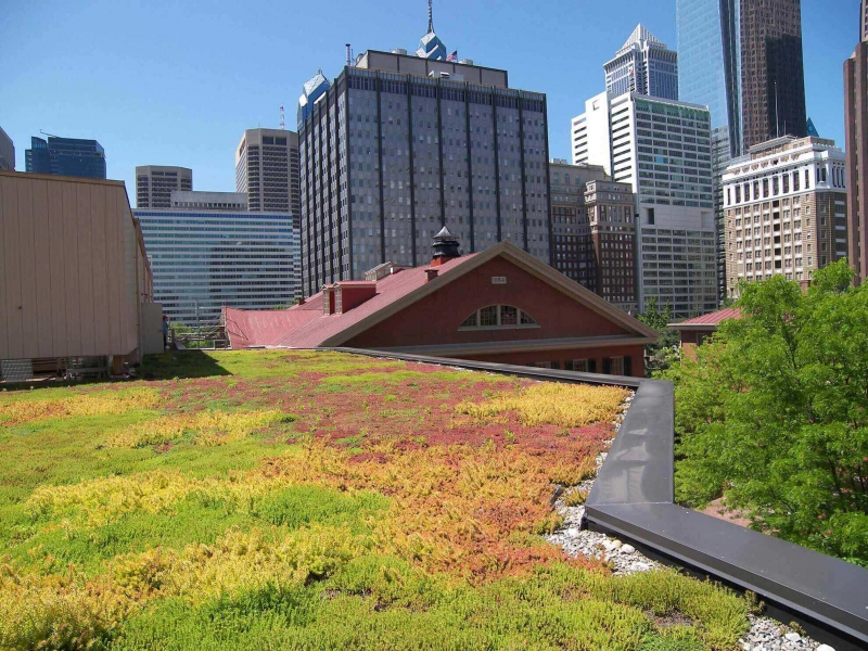 paysagiste--min_green-roof-portfolio-4